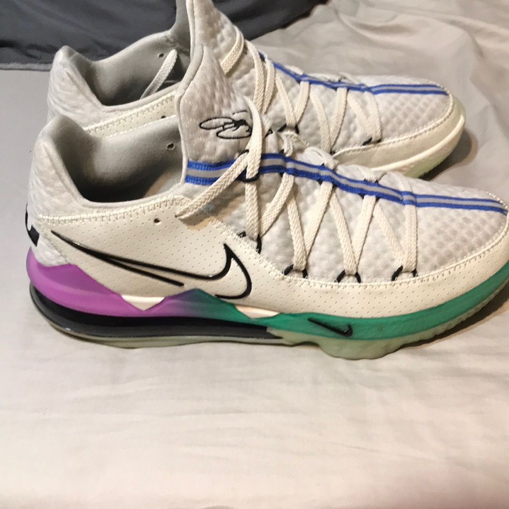 Low top lebron 17s